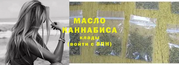 индика Богородицк