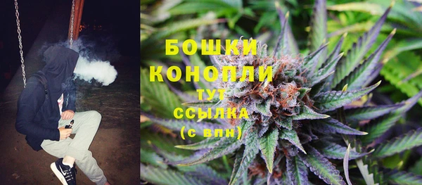 гидропоника Богородск